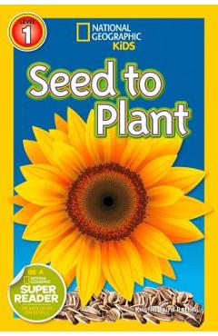 Seed to Plant - Kristin Baird Rattini