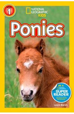 Ponies