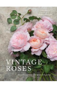 Vintage Roses: Beautiful Varieties for Home and Garden - Jane Eastoe