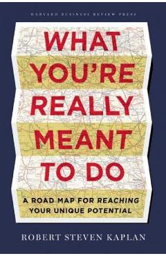 What You\'re Really Meant to Do: A Road Map for Reaching Your Unique Potential - Robert S. Kaplan