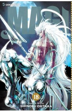 Magi: The Labyrinth of Magic, Vol. 18: The Labyrinth of Magic - Shinobu Ohtaka