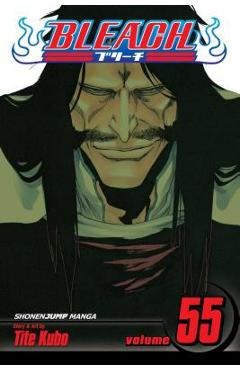 Bleach, Volume 55 - Tite Kubo