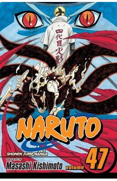 Naruto, Vol. 47, Volume 47 - Masashi Kishimoto
