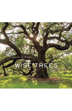 Wise Trees - Diane Cook