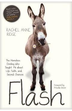 Flash: The Homeless Donkey Who Taught Me about Life, Faith, and Second Chances - Rachel Anne Ridge