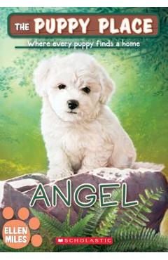 Angel (the Puppy Place #46), Volume 46 - Ellen Miles