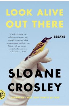 Look Alive Out There: Essays - Sloane Crosley
