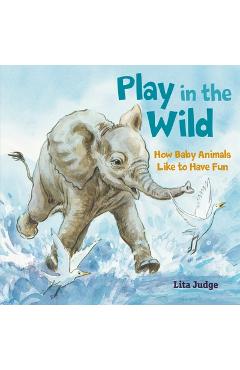 Play in the Wild: How Baby Animals Like to Have Fun - Lita Judge