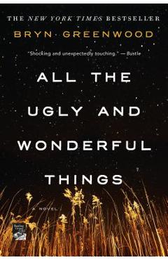 All the Ugly and Wonderful Things - Bryn Greenwood