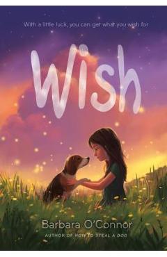 Wish - Barbara O\'connor