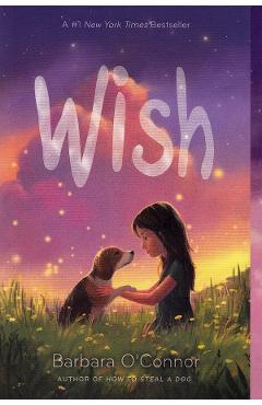 Wish - Barbara O'Connor