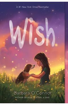 Wish - Barbara O'Connor