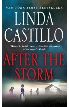 After the Storm - Linda Castillo