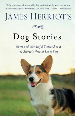 James Herriot's Dog Stories: Warm and Wonderful Stories about the Animals Herriot Loves Best - James Herriot
