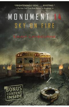 Sky on Fire - Emmy Laybourne
