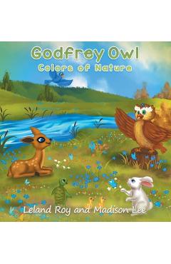 Godfrey Owl: Colors of Nature - Leland Roy