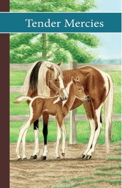 Sonrise Stable: Tender Mercies - Vicki Watson