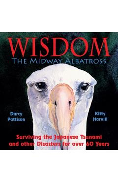 Wisdom, the Midway Albatross: Surviving the Japanese Tsunami and Other Disasters for Over 60 Years - Darcy Pattison