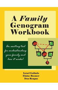 A Family Genogram Workbook: An Exciting Tool for Understanding Your Family and How it Works! - Elaine Boomer