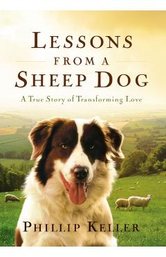 Lessons from a Sheep Dog - Phillip Keller