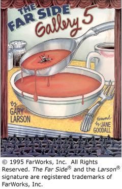 The Far Side Gallery 5 - Gary Larson