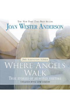 Where Angels Walk: True Stories of Heavenly Visitors - Joan Wester Anderson
