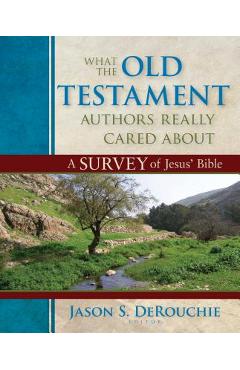 What the Old Testament Authors Really Cared about: A Survey of Jesus\' Bible - Jason Derouchie