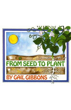 From Seed to Plant - Gail Gibbons