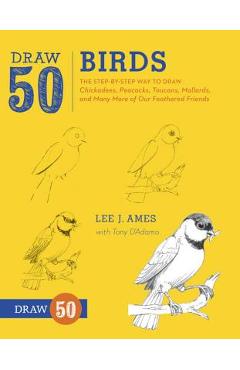Draw 50 Birds: The Step-By-Step Way to Draw Chickadees, Peacocks, Toucans, Mallards, and Many More of Our Feathered Friends - Lee J. Ames