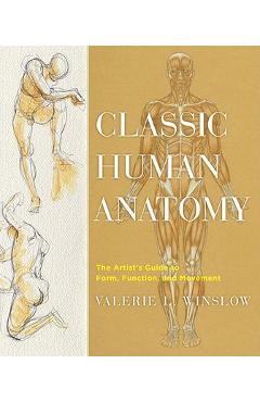 Classic Human Anatomy: The Artist\'s Guide to Form, Function, and Movement - Valerie L. Winslow