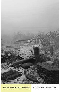 An Elemental Thing - Eliot Weinberger