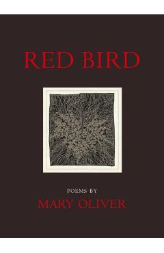 Red Bird - Mary Oliver