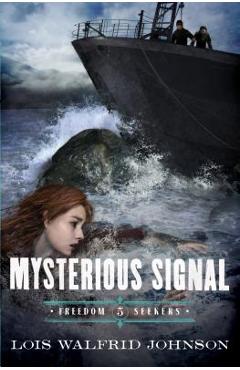 Mysterious Signal - Lois Walfrid Johnson