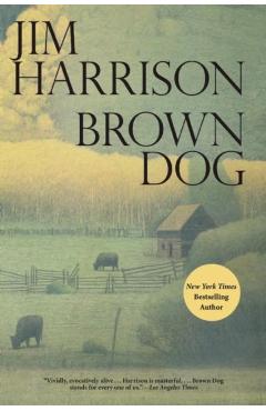 Brown Dog