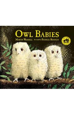Owl Babies - Martin Waddell