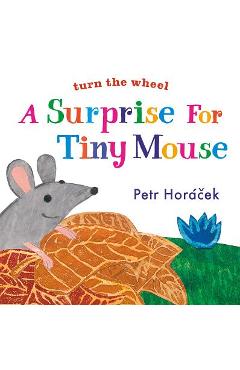A Surprise for Tiny Mouse - Petr Horacek