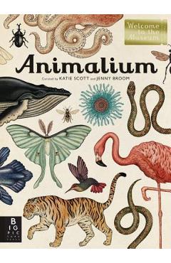 Animalium: Welcome to the Museum - Jenny Broom