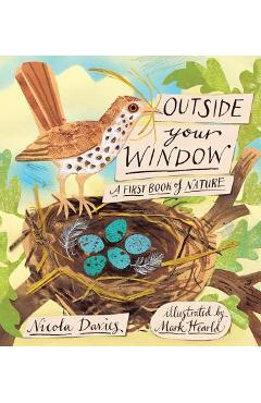 Outside Your Window: A First Book of Nature - Nicola Davies
