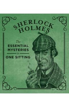 Sherlock Holmes: The Essential Mysteries in One Sitting - Jennifer Kasius