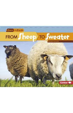 From sheep to sweater - robin nelson