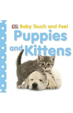 Baby Touch and Feel: Puppies and Kittens - Dk