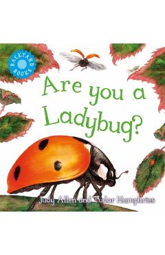 Are You a Ladybug? - Judy Allen - Imagine 1