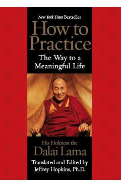 How to Practice: The Way to a Meaningful Life - Dalai Lama