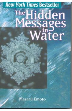 Hidden Messages in Water - Masaru Emoto