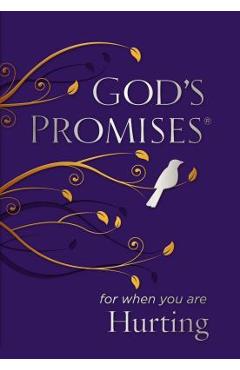 God\'s Promises for When You Are Hurting - Jack Countryman