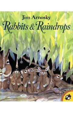 Rabbits and Raindrops - Jim Arnosky