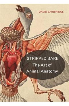 Stripped Bare: The Art of Animal Anatomy - David Bainbridge