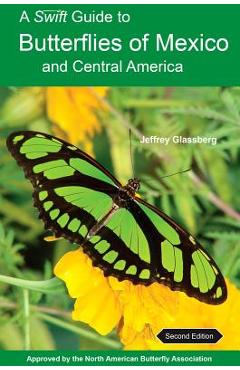 A Swift Guide to Butterflies of Mexico and Central America: Second Edition - Jeffrey Glassberg
