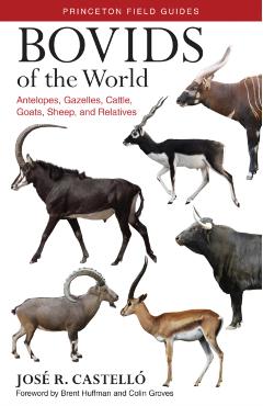 Bovids of the World: Antelopes, Gazelles, Cattle, Goats, Sheep, and Relatives - Jose R. Castello