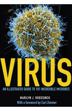Virus: An Illustrated Guide to 101 Incredible Microbes - Marilyn J. Roossinck